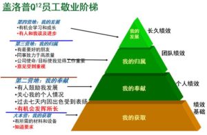 Q12与员工敬业度
